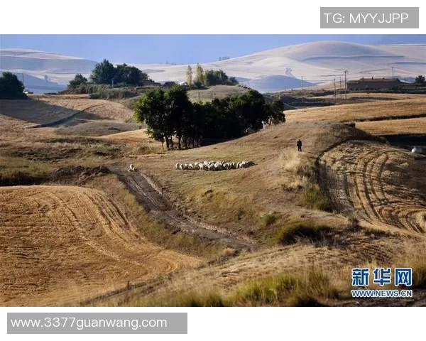运动新闻布拉克利与吉灵汉姆的精彩对决谁能在赛场上笑到最后